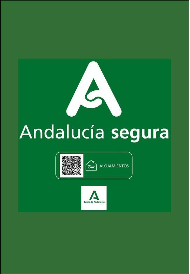 Holidays2Malaga Apto Pozos Dulces Acogedor & Balcon & Tranquilo En Centro De 말라가 외부 사진